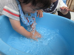 らっこ組　平澤　　水に触れて