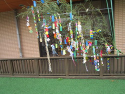 tanabata02-4.JPG